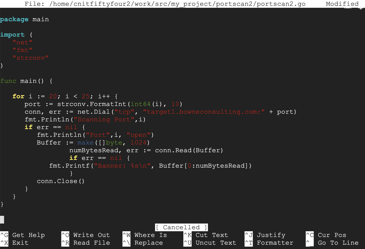 A 51 Basic Port Scanning With Go 40 Pts